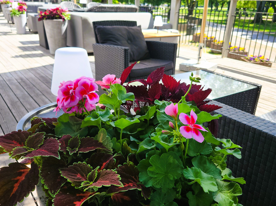 Mariestads Stadshotell主图