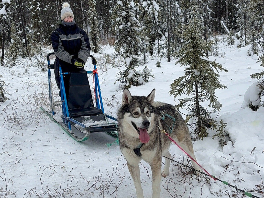 Snowhook Adventure Guides of Alaska-Willow必去景点