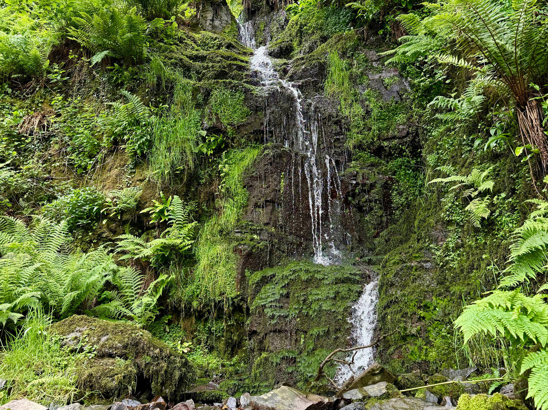 Hollow Brook Waterfall
