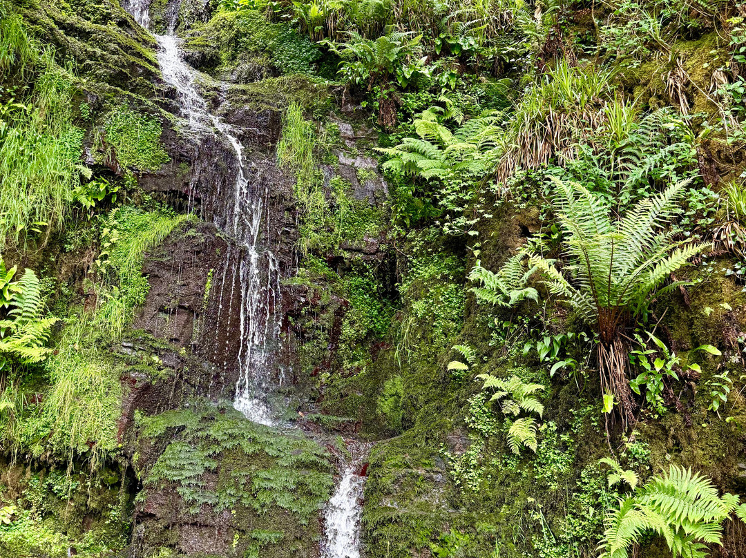 Hollow Brook Waterfall-马汀荷必去景点