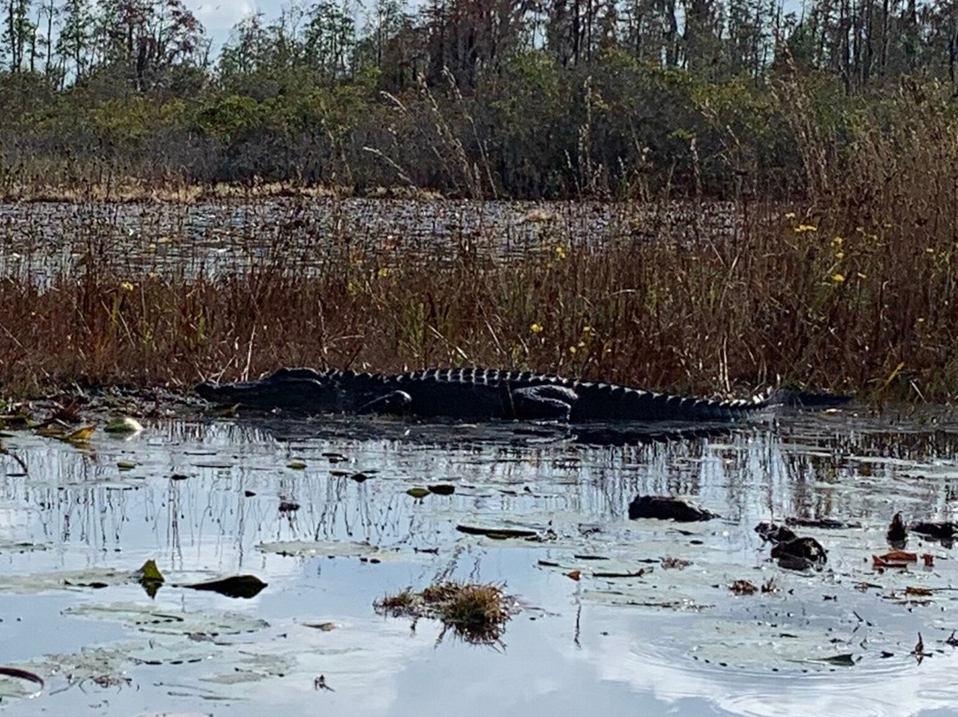 Okefenokee Adventures-Folkston必去景点