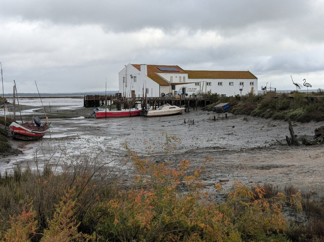 Moinho de Mare da Mourisca-Setubal必去景点