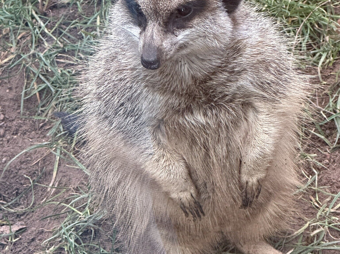Zoo Leipzig-莱比锡必去景点