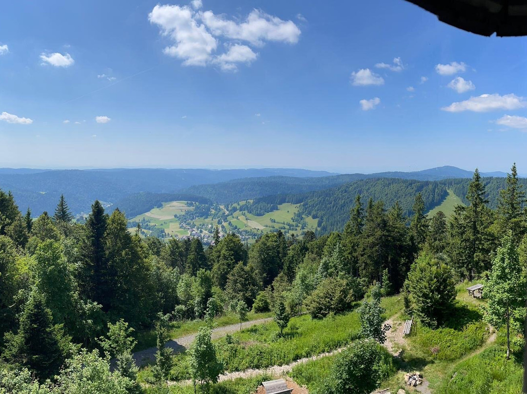 Hochkopfturm-托特瑙必去景点