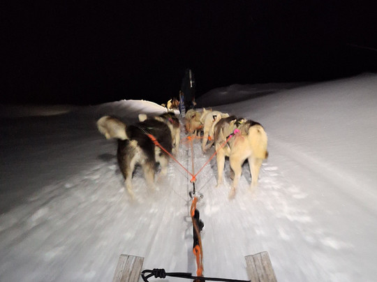 Basecamp Explorer Spitsbergen-朗伊尔城必去景点