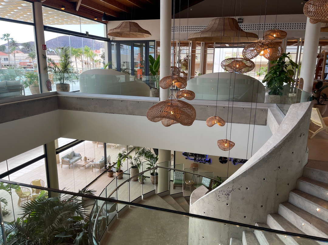 Hd Lobos Natura Fuerteventura