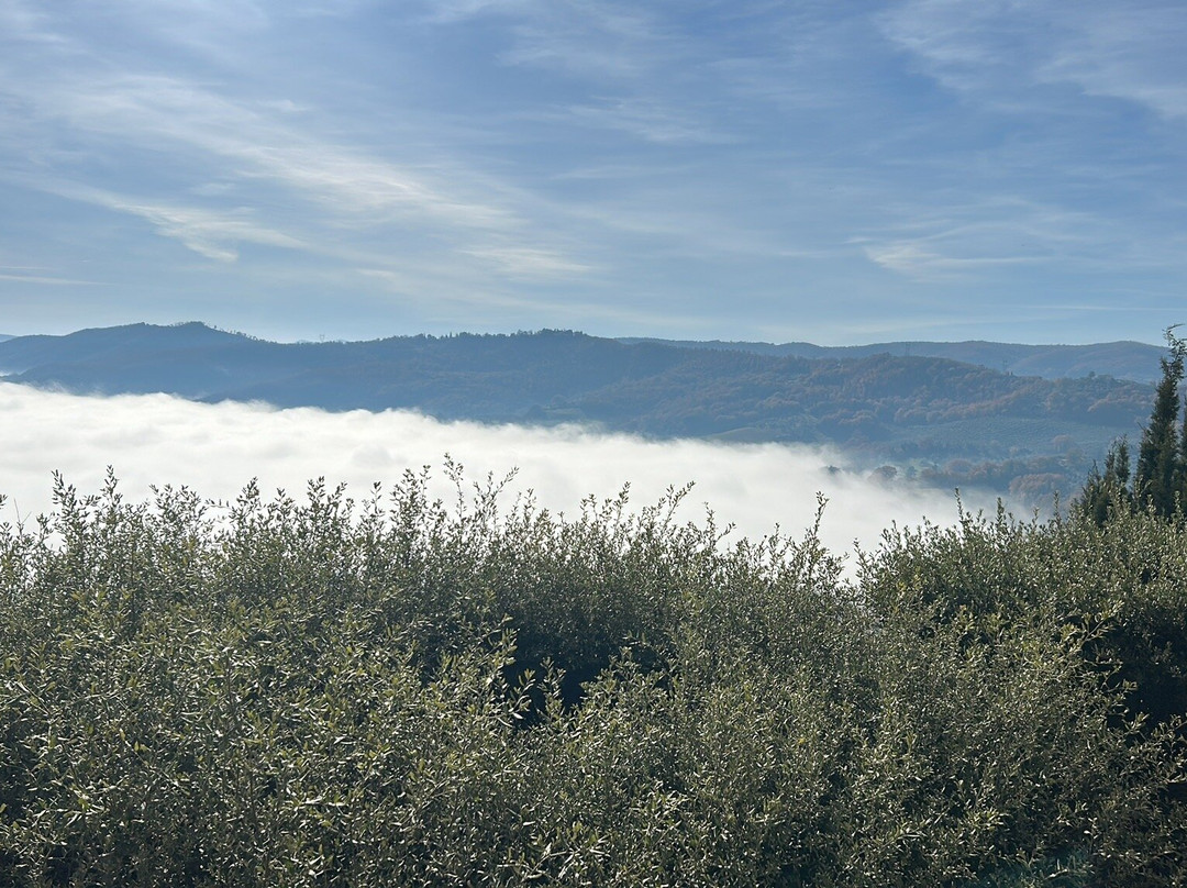 Monte Castello Di Vibio-Monte Castello di Vibio必去景点