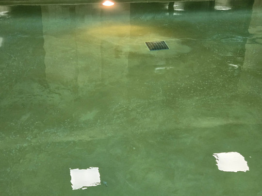 Hampton Inn Ann Arbor-South主图