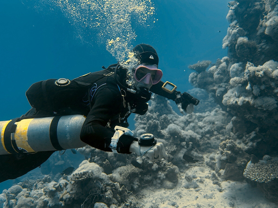 Extra Divers Worldwide El Quseir-艾尔可西利亚必去景点