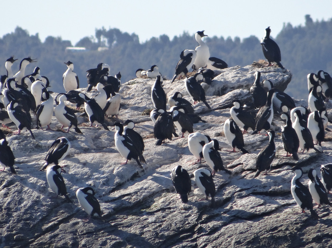 Kawel Ecoturismo-Quellon必去景点