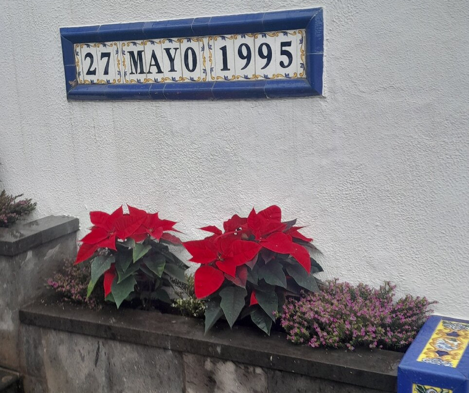 Paseo de Canarias-Firgas必去景点