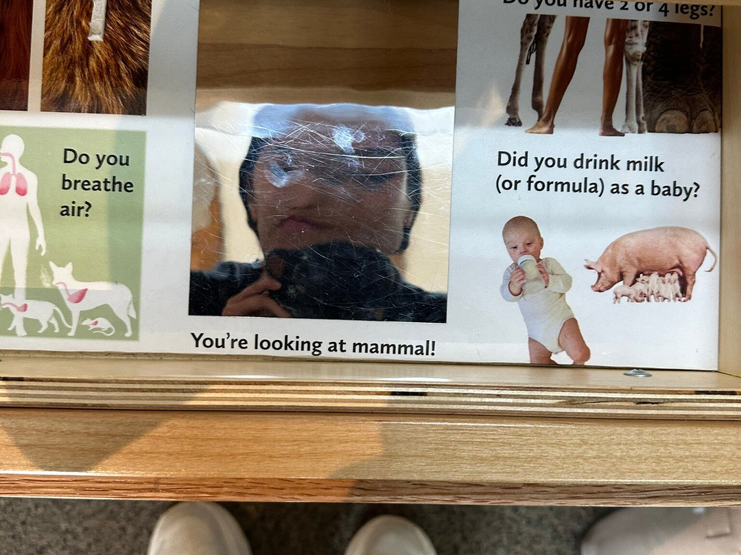 Museum of Northern Arizona-弗拉格斯塔夫必去景点