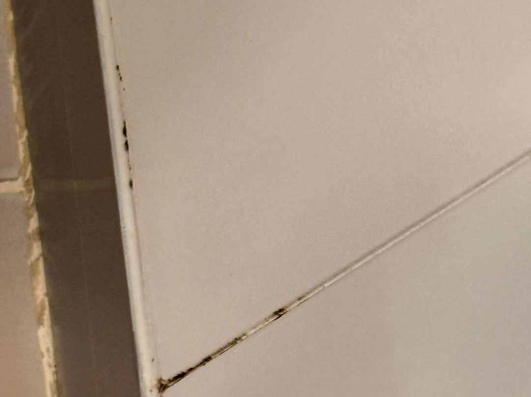 Hotel Costa do Sal主图