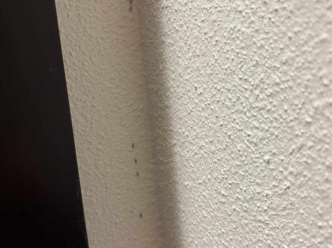 Hyatt Place Richmond Airport主图