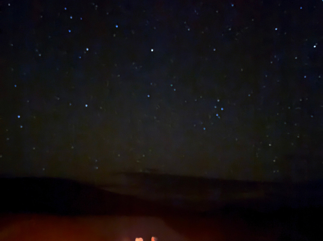 Mélodie du désert-迈哈米德必去景点