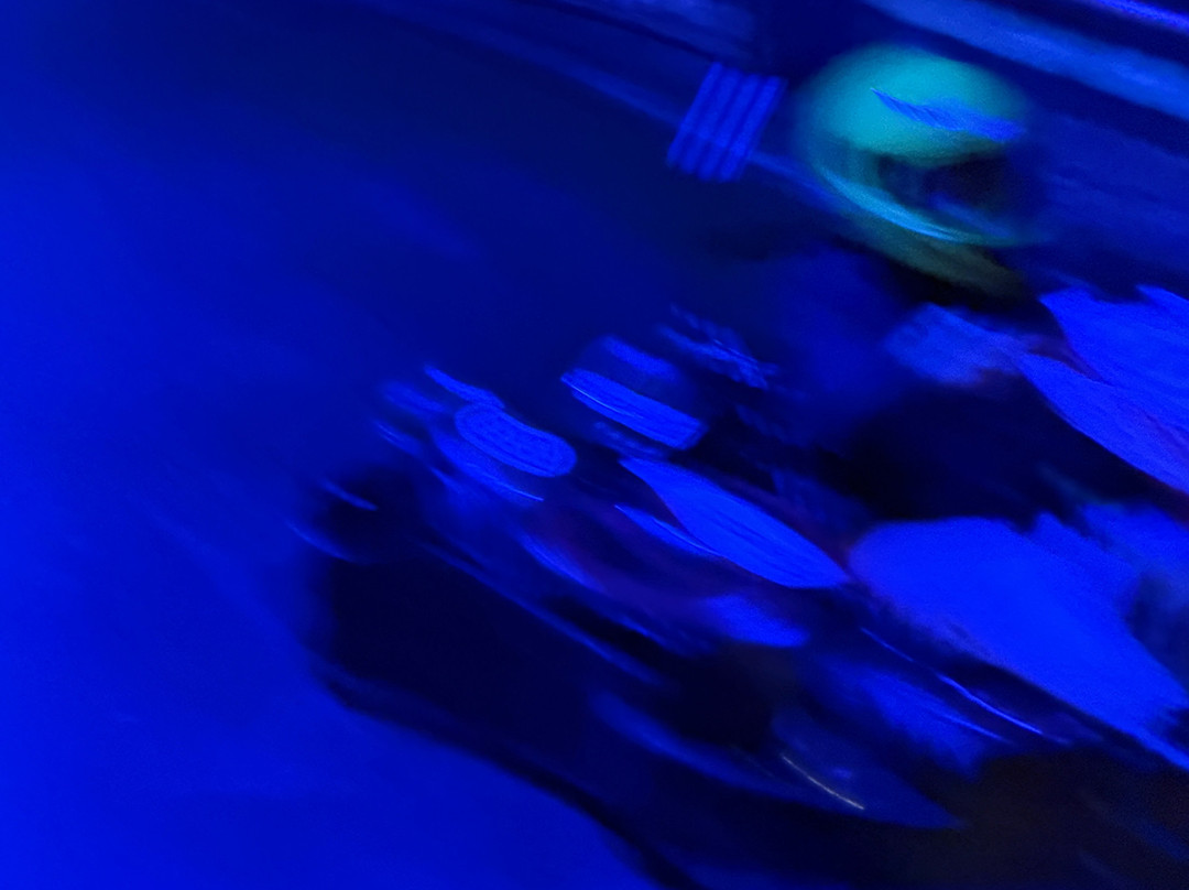 Coronel Kartracing-Huizen必去景点