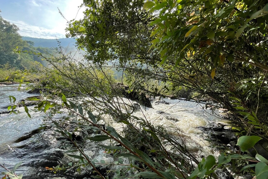 Cascata do Ibicuí-Campos Novos必去景点