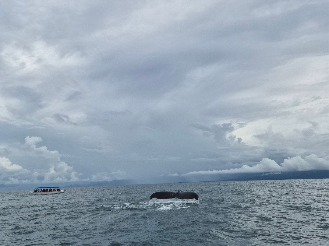 Aventura Uno-彭塔雷纳斯必去景点