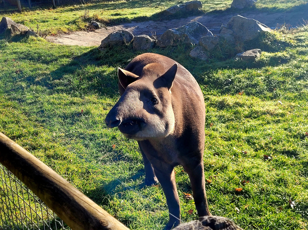 Parc Zoo du Reynou-Le Vigen必去景点