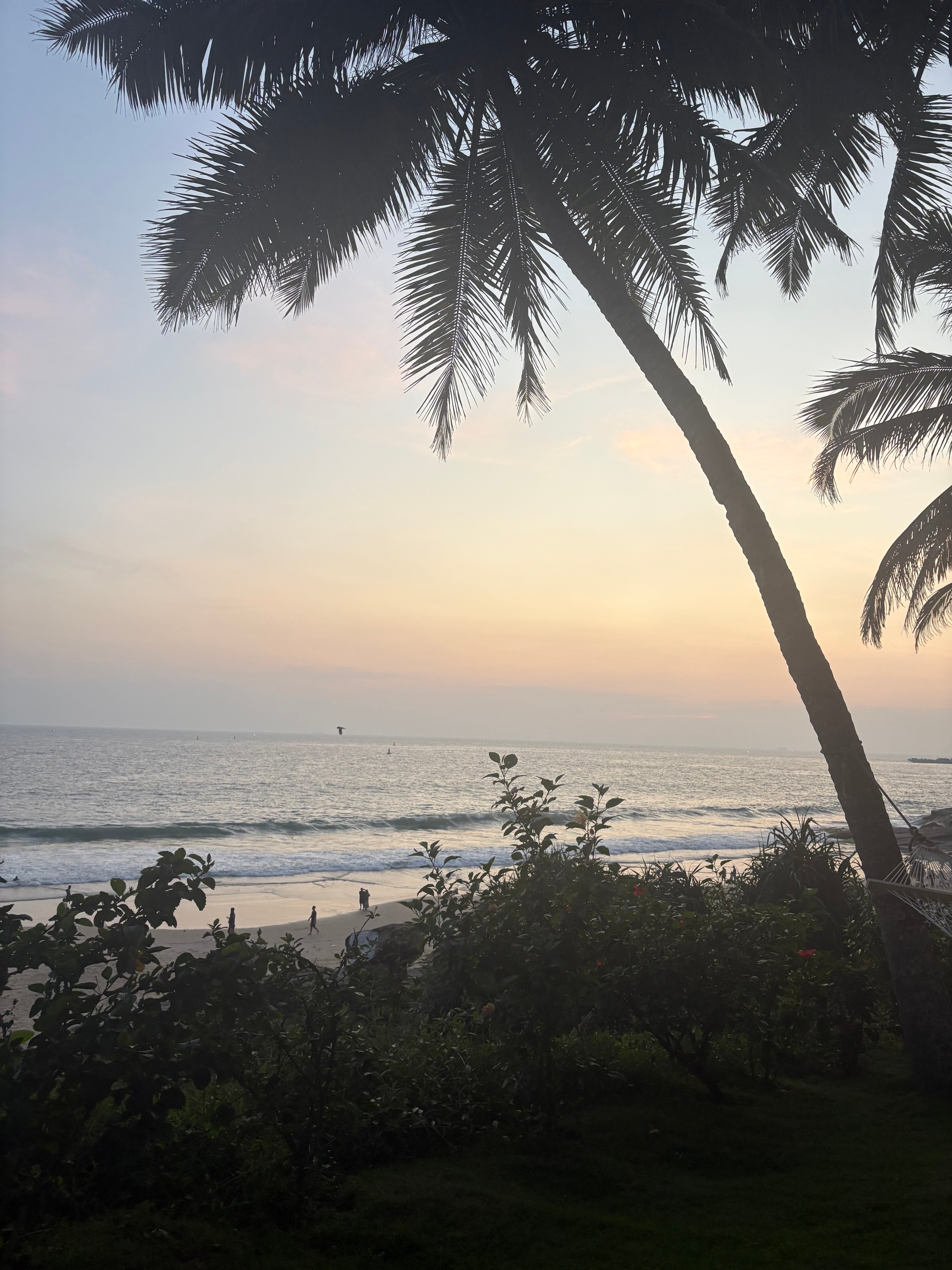 Soma Manaltheeram Ayurveda Beach Village-官方