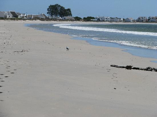 Villa Dauphine主图