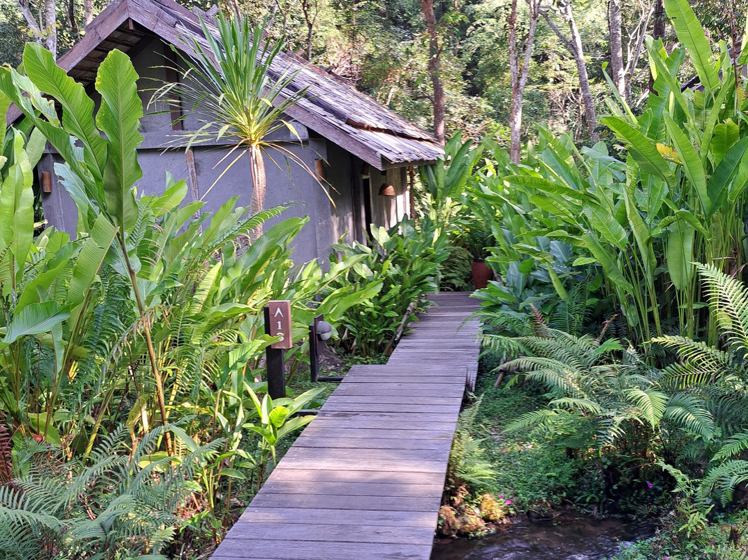 Nam Kat Waterfall-乌多姆赛必去景点