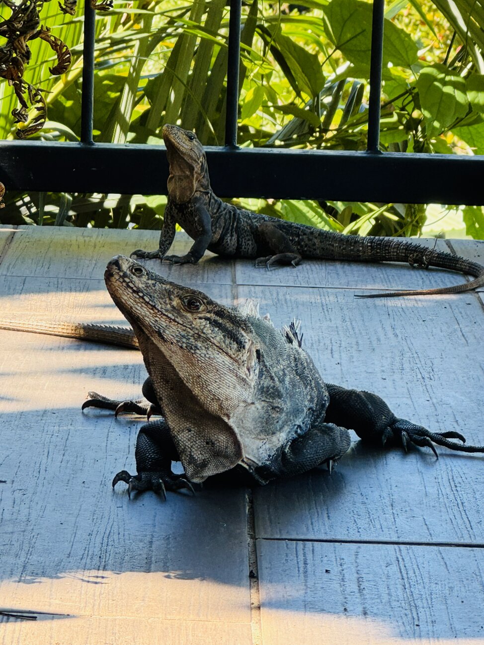 Shana By The Beach-浴室
