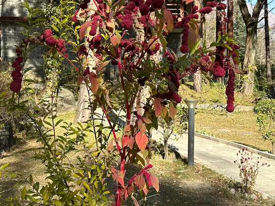 跨度温泉度假村主图