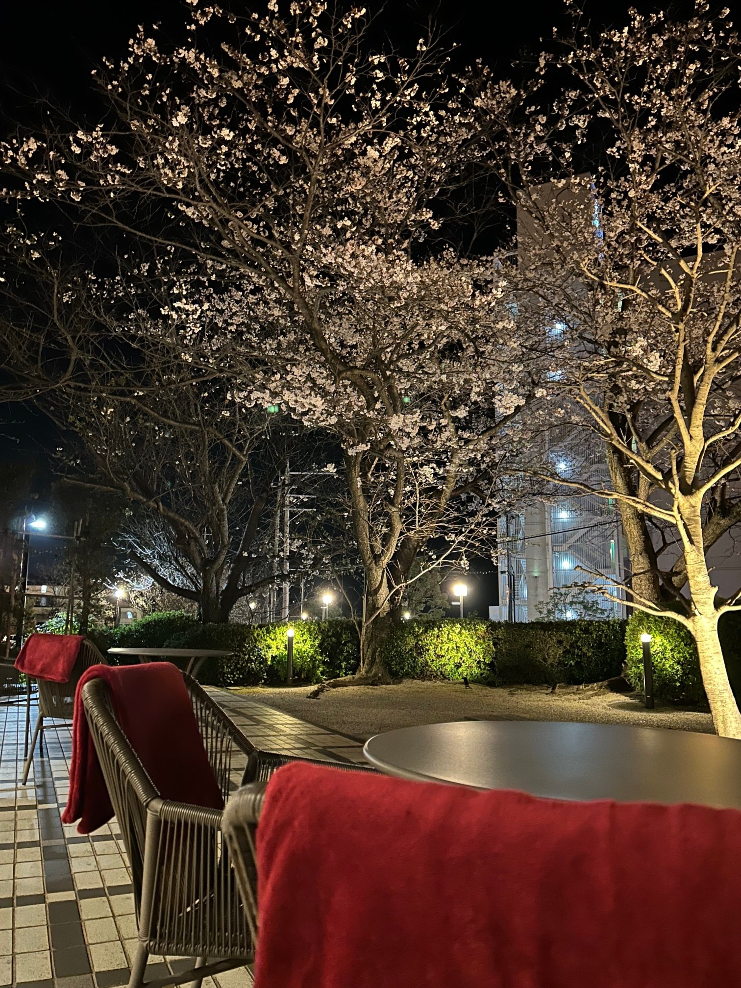 Miyajima Hanarenoyado Ibuku Bettei-浴室