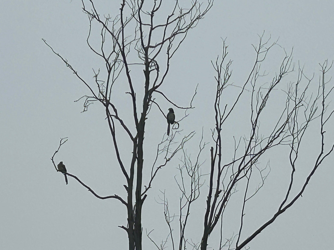 Club Mahinda Bharatpur