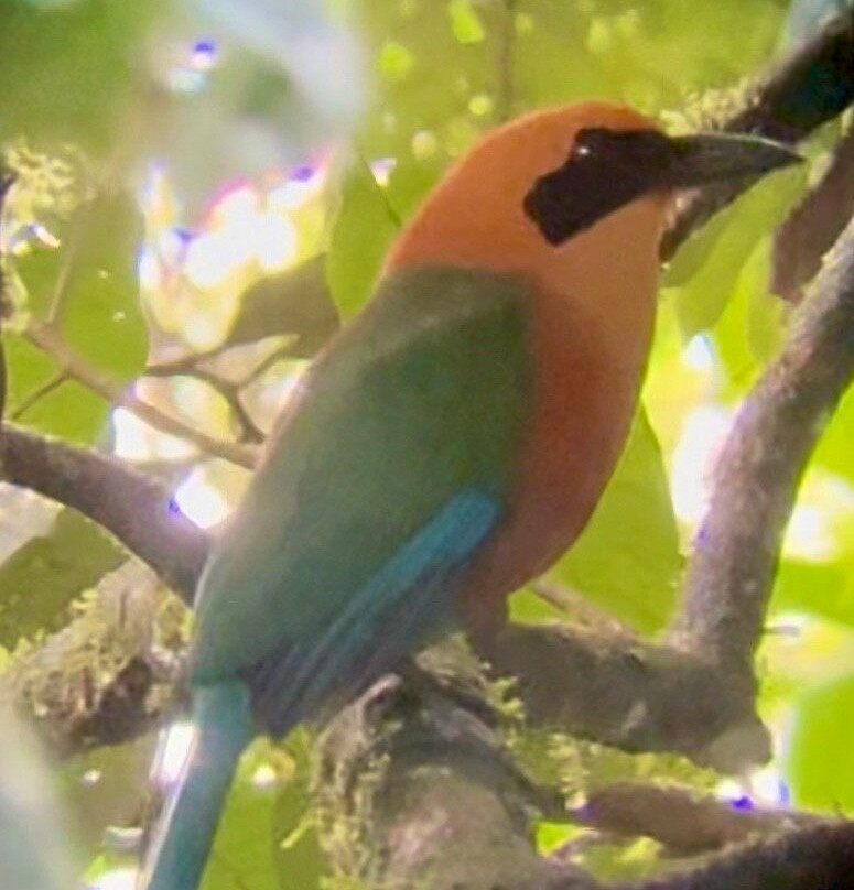 Costa Rica Focus-圣何塞必去景点
