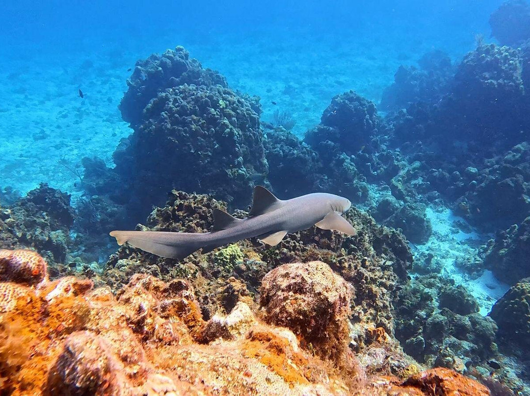 Playa El Cielo-考祖梅必去景点