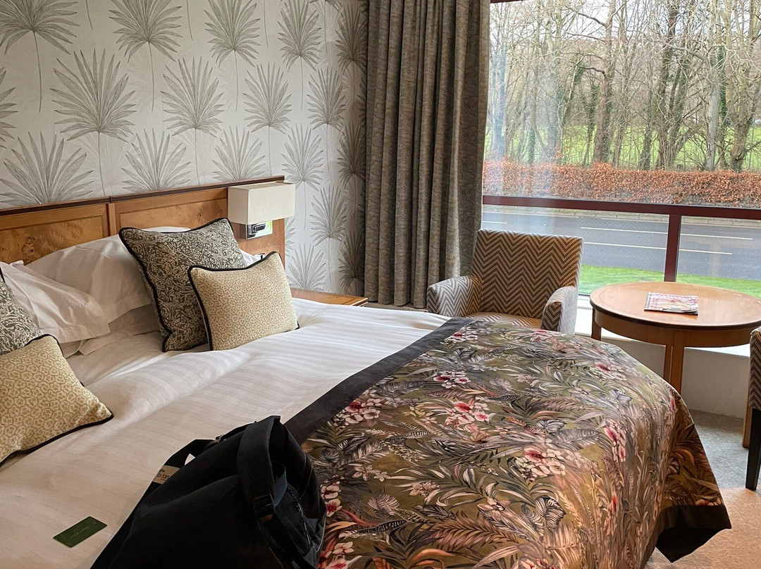 Everglades Hotel主图