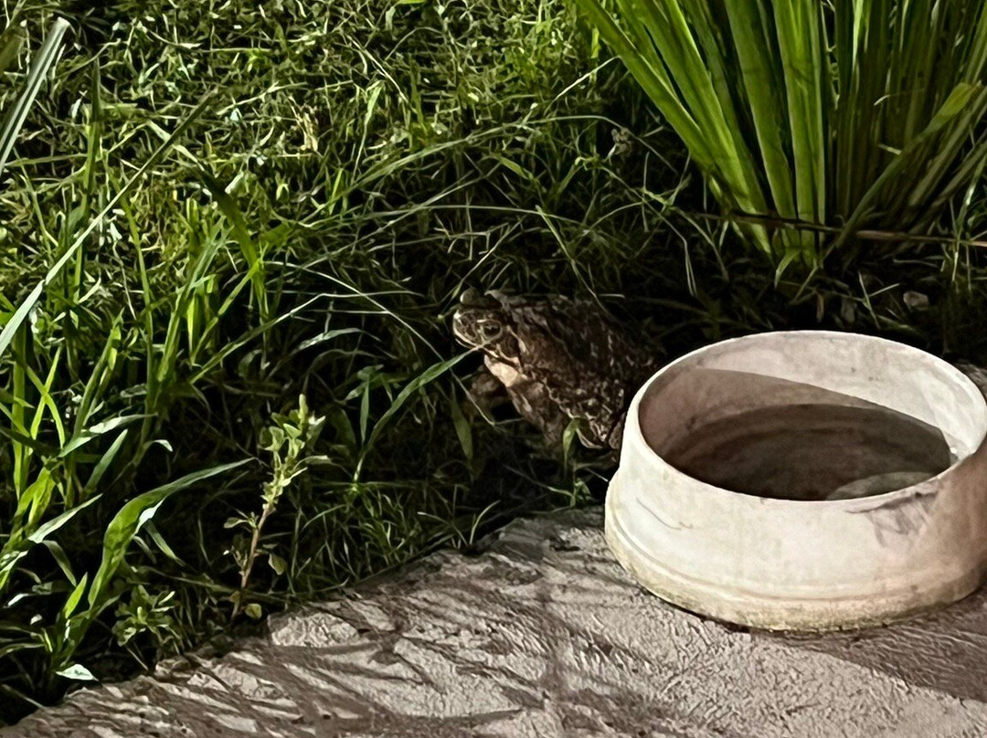 Olivo Pampa-Santana do Livramento必去景点