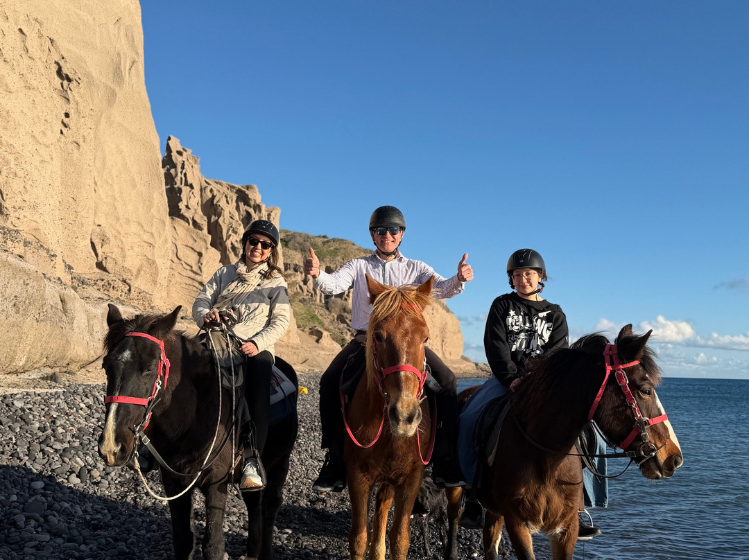 Experience Horse Riding-阿克罗蒂里必去景点