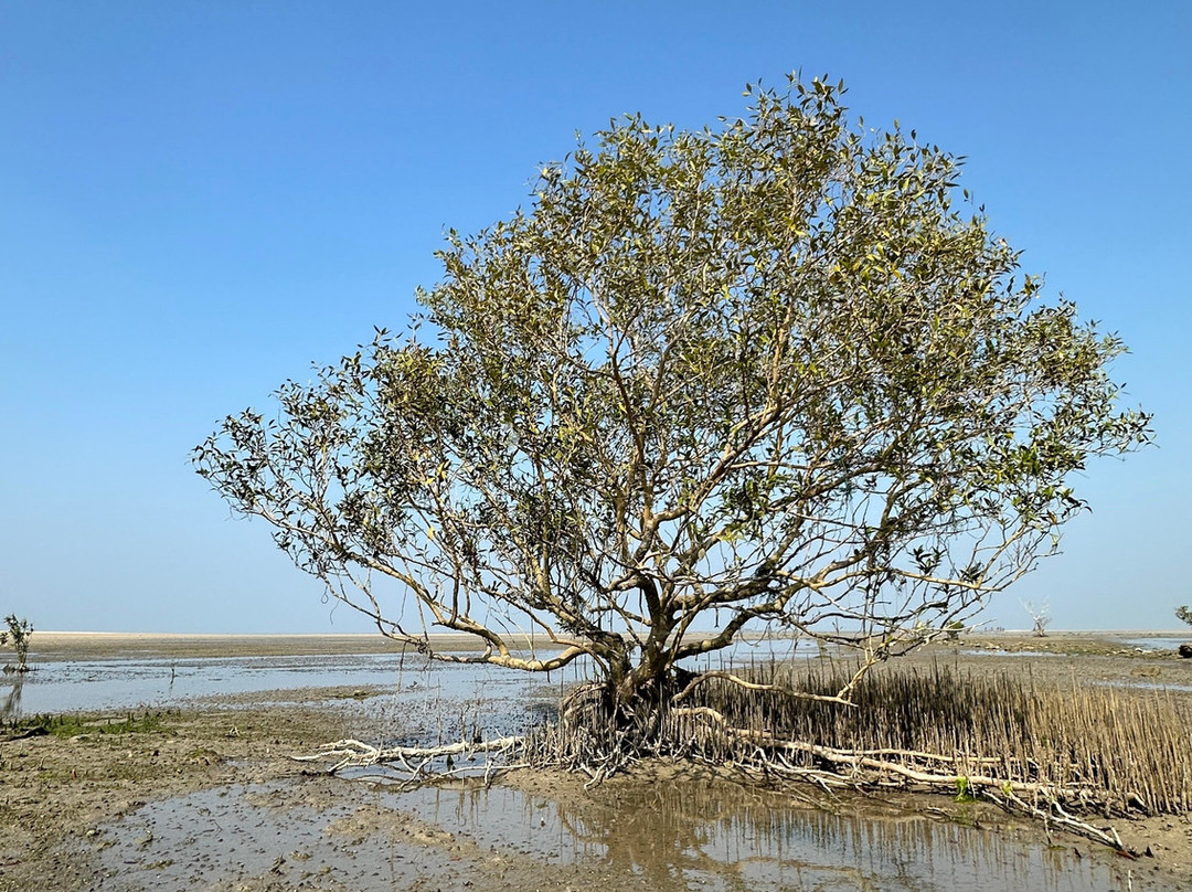 Narara Marine National Park-Devbhumi Dwarka District必去景点