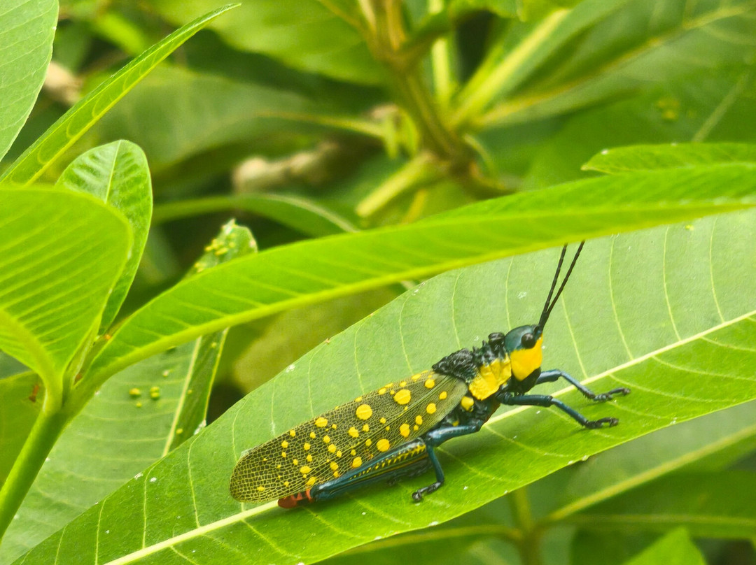 ViaVia Jogja Tour & Travel-Yogyakarta必去景点