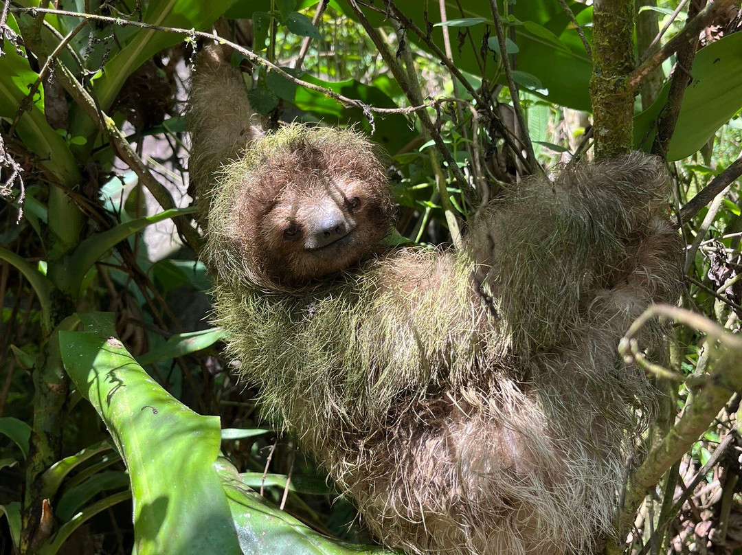 Prime Tours Costa Rica-利比里亚必去景点