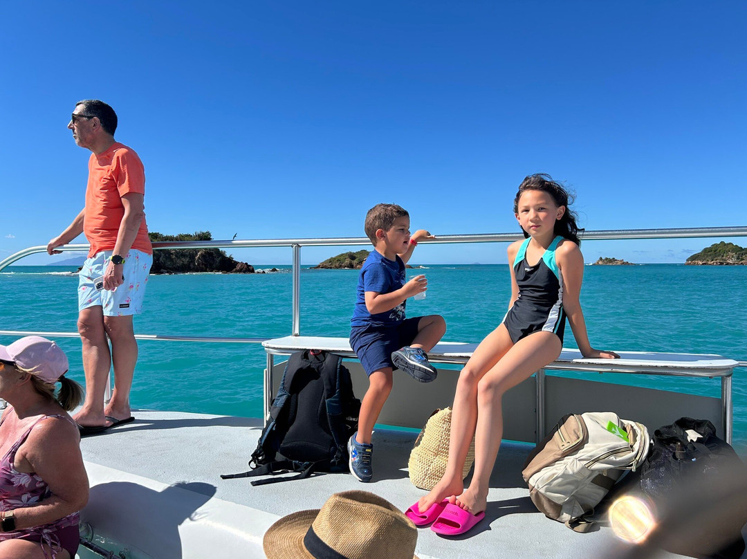Tropical Adventures - Excellence Catamaran-圣 约翰必去景点