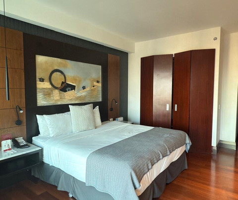 NH Collection Guadalajara Providencia主图