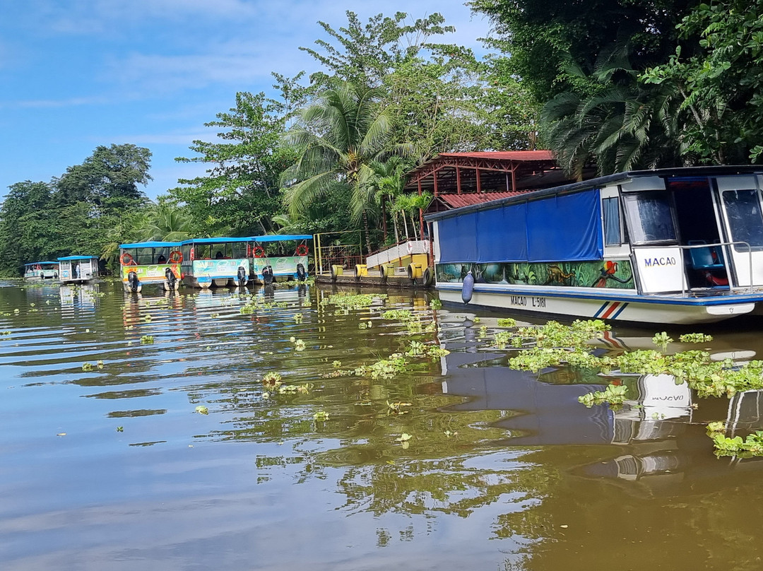 Tortuguero Canal-利蒙港必去景点