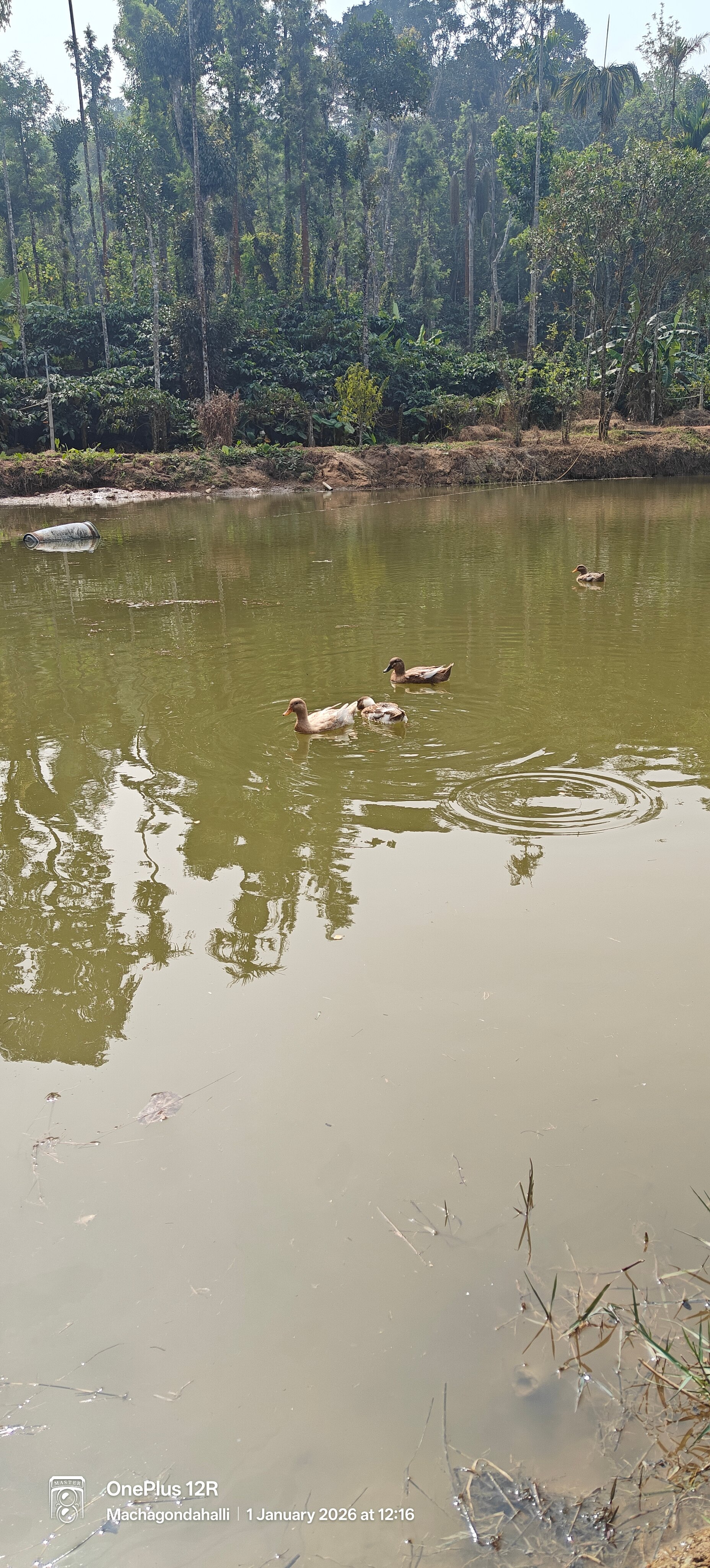 The Hidden Valley-官方