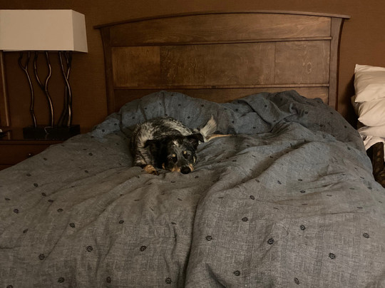 奥林匹克酒店主图