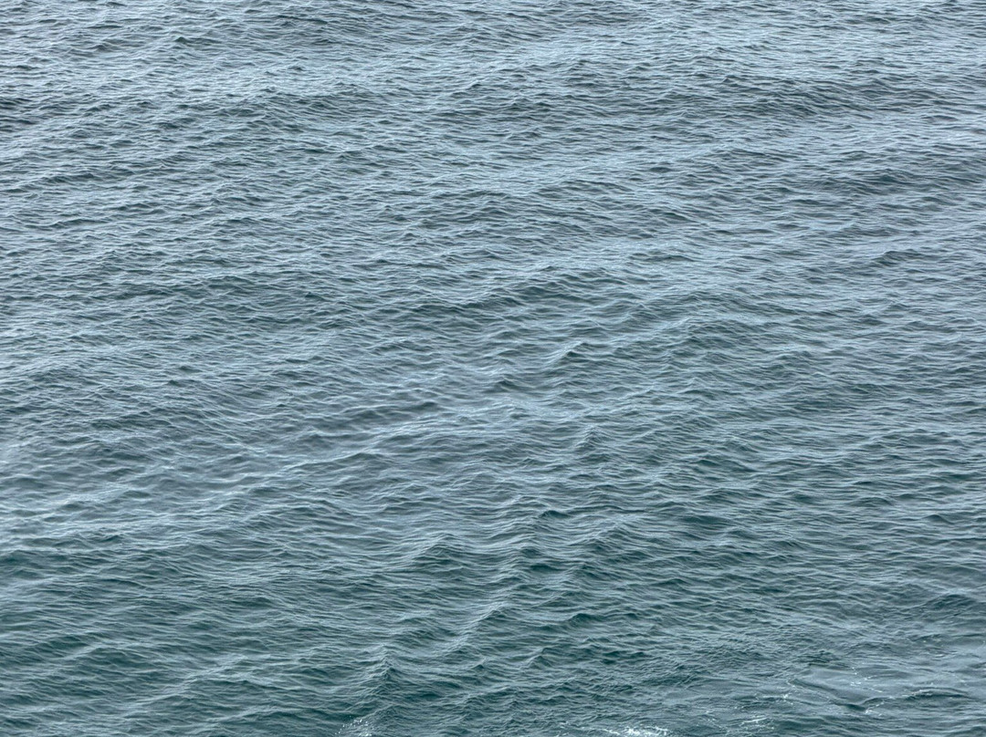 Plage Port-Vieux de Biarritz-比亚里茨必去景点