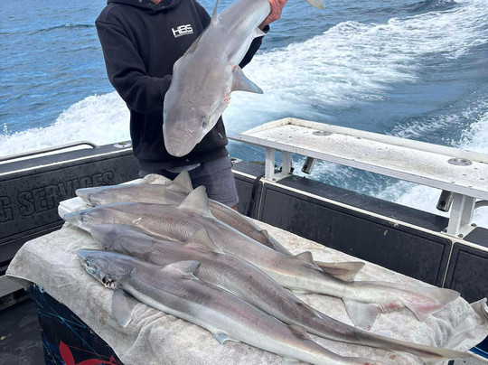 Matthew Hunt Fishing Services-波特兰必去景点