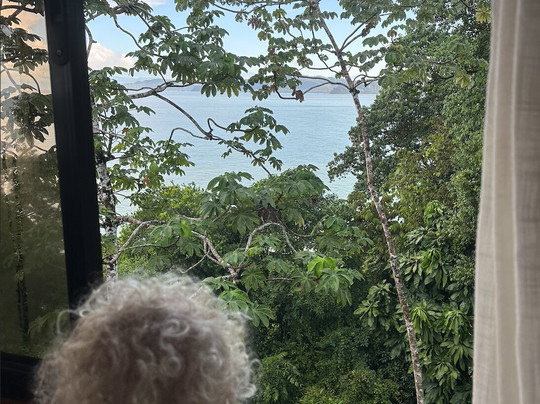 La Paloma Lodge Drake Bay主图