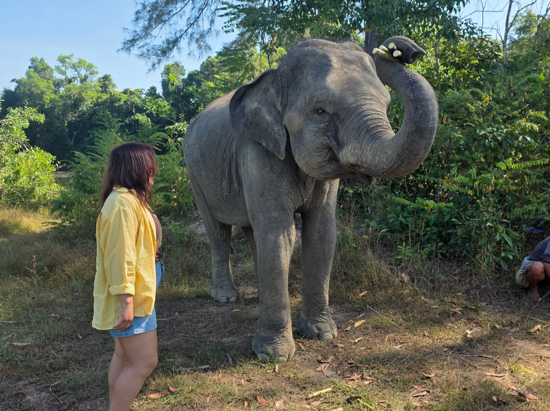 The Lake Phuket Elephant Home-Thep Krasatti必去景点