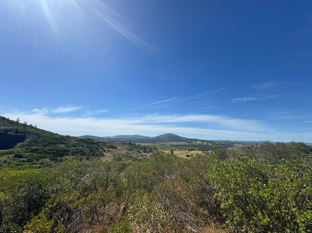 Bodega Cerro del Toro
