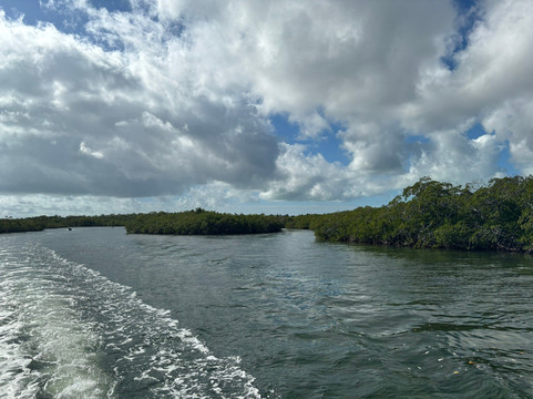 Silent World Dive Center-拉哥岛必去景点