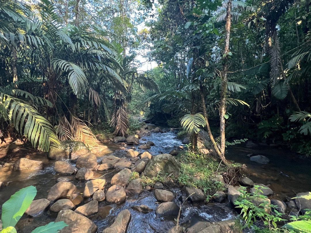 La Anita Rainforest Chocolate Tour-瓜纳卡斯特自然保护区必去景点